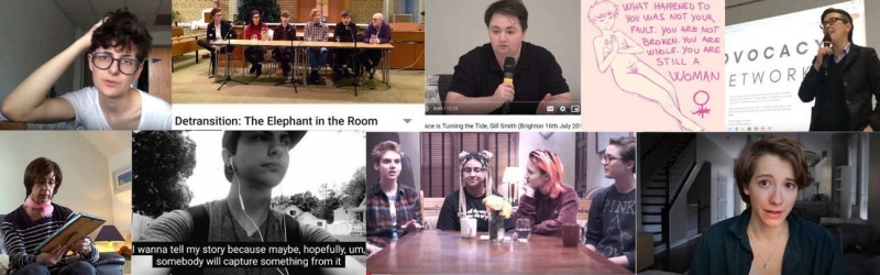 File:Detransvoices23112021.jpg