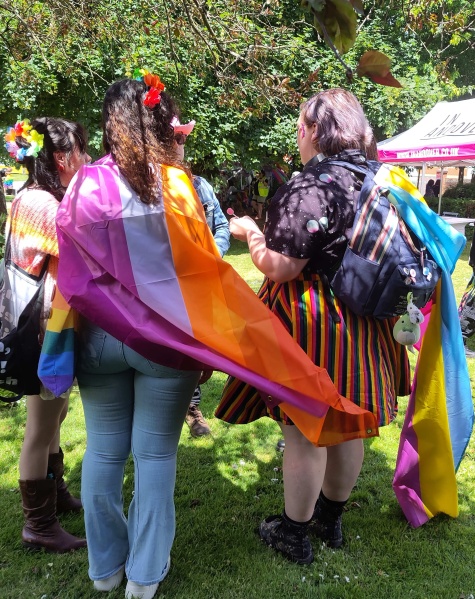 File:Andoverprideflagsjune2024.jpg
