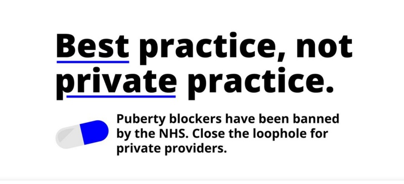 File:PubertyblockersLGBAllianceMarch2024.jpg